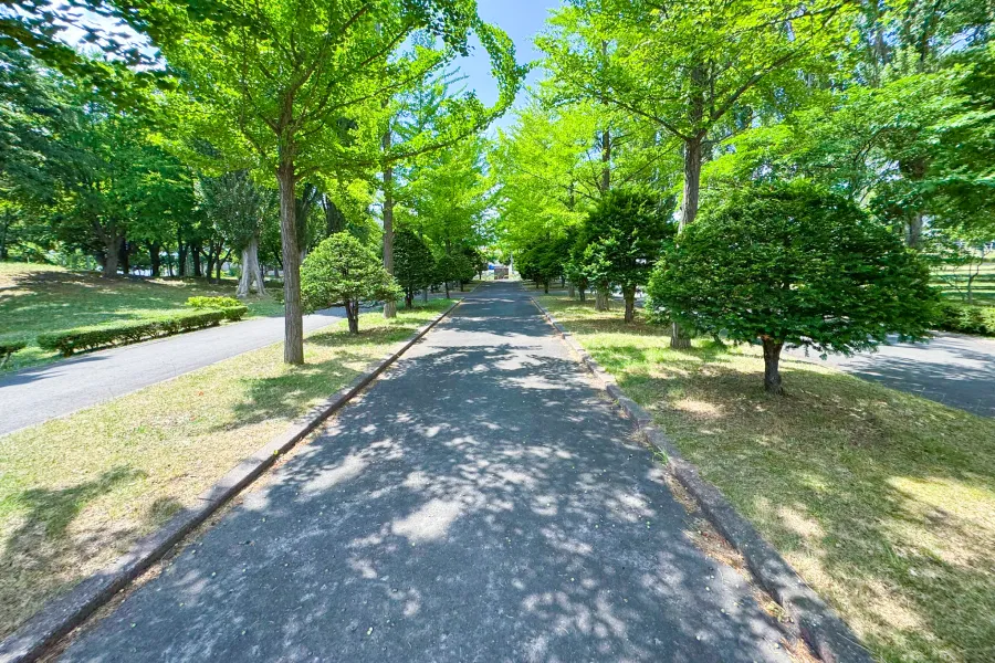 公園周回コース